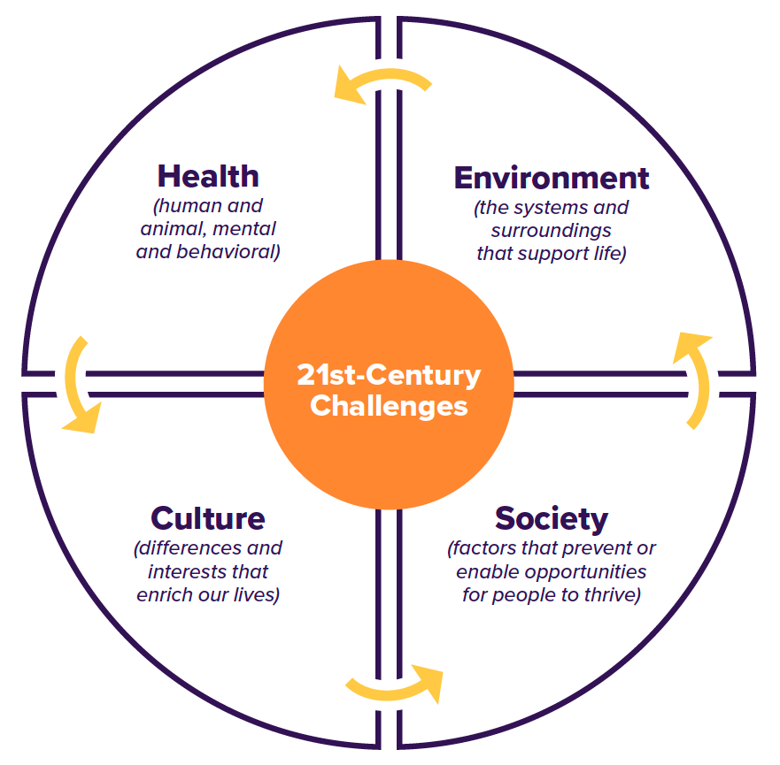Health, Environment, Culture and Society are all 21st-century challenges UC Davis is addressing in a multidisciplinary fashion.