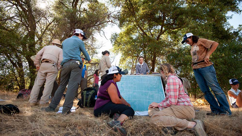 UC Davis Soil Science Class Collecting Data