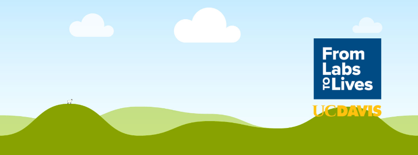 Example facebook cover image