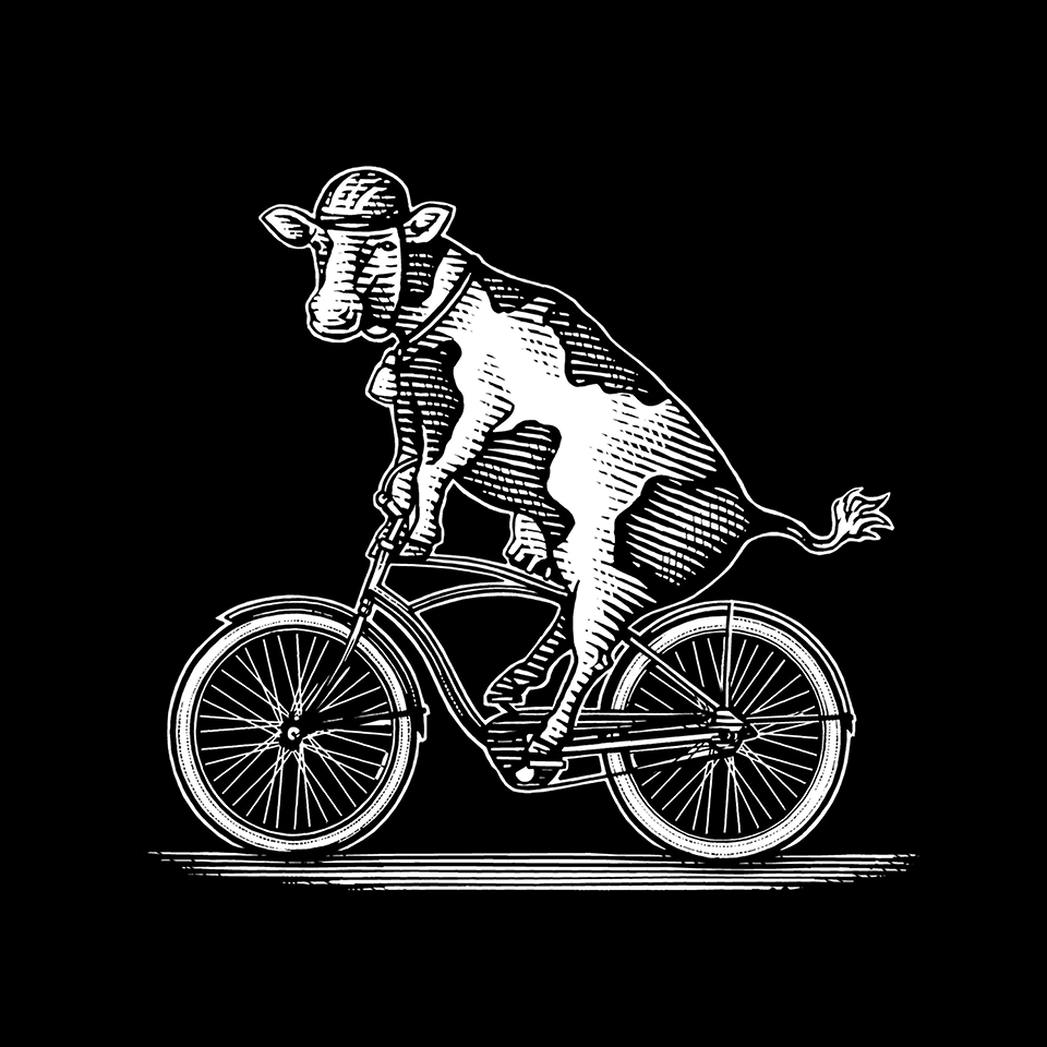 Illustration of cow riding bike