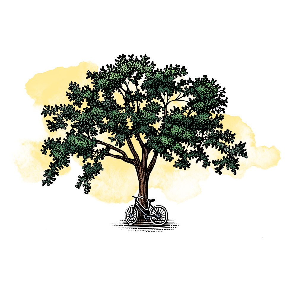 Tree with bike illustration