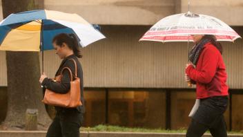 Aggie umbrella