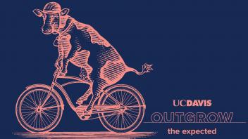 UC Davis Desktop Wallpaper 20