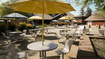 Outdoor courtyard with tables and large yellow umbrellas