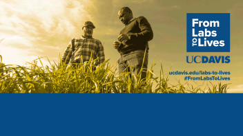 Two men examining plants in a field, with a golden hue and logo for UC Davis.