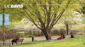 Students relax under trees by a serene lake on a sunny day at UC Davis.