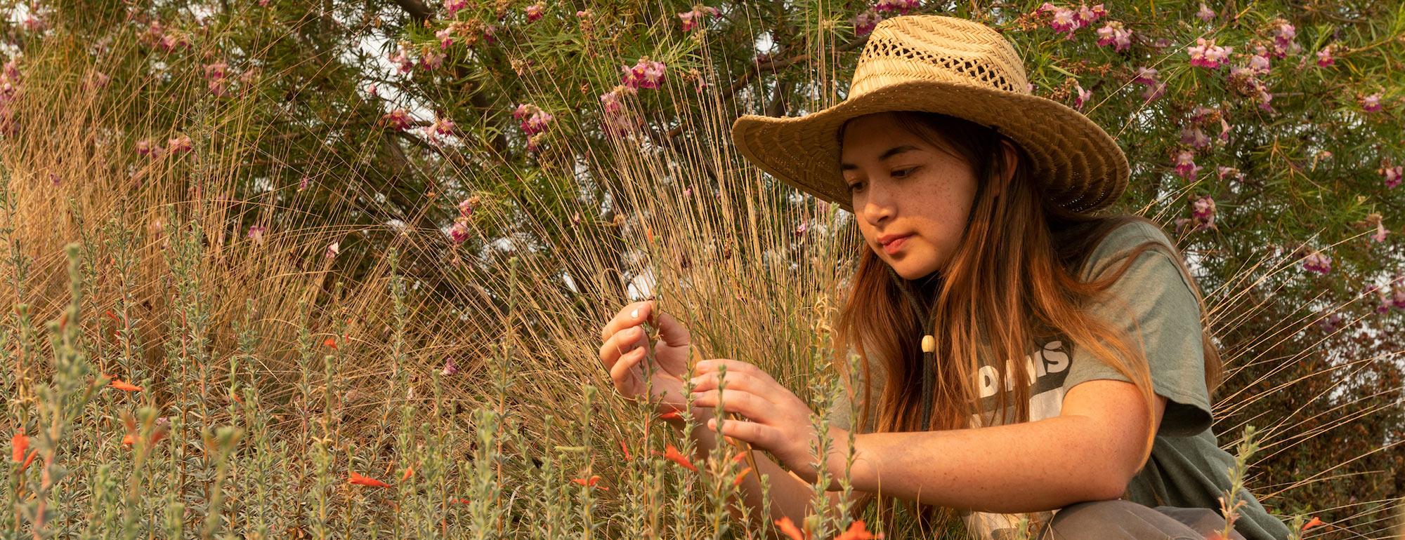 A student inspects some flora in the UC Davis Arboretum