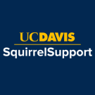 Aggie Blue (navy) square with gold UC Davis word mark with a gold line below with white type that reads "Squirrel Support"