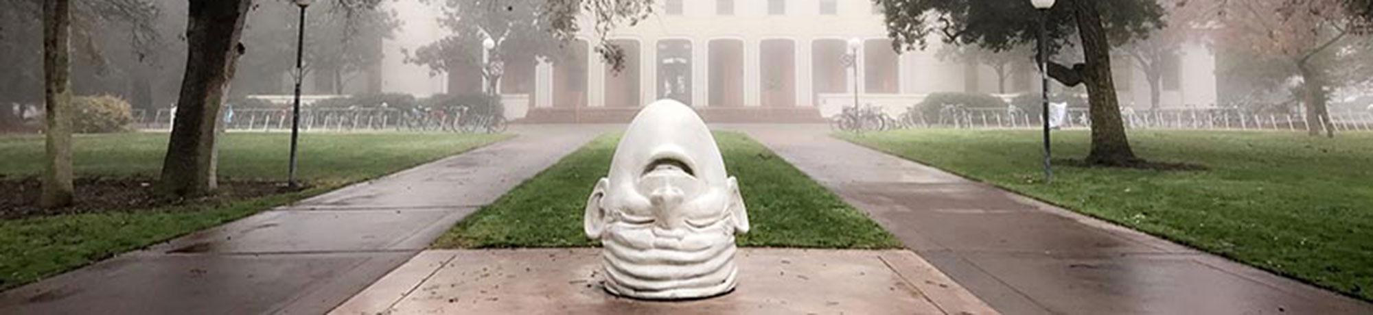 Egghead in the mist