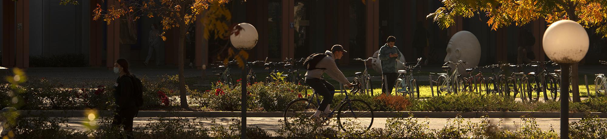 A student rides their bike past Wright Hall. 