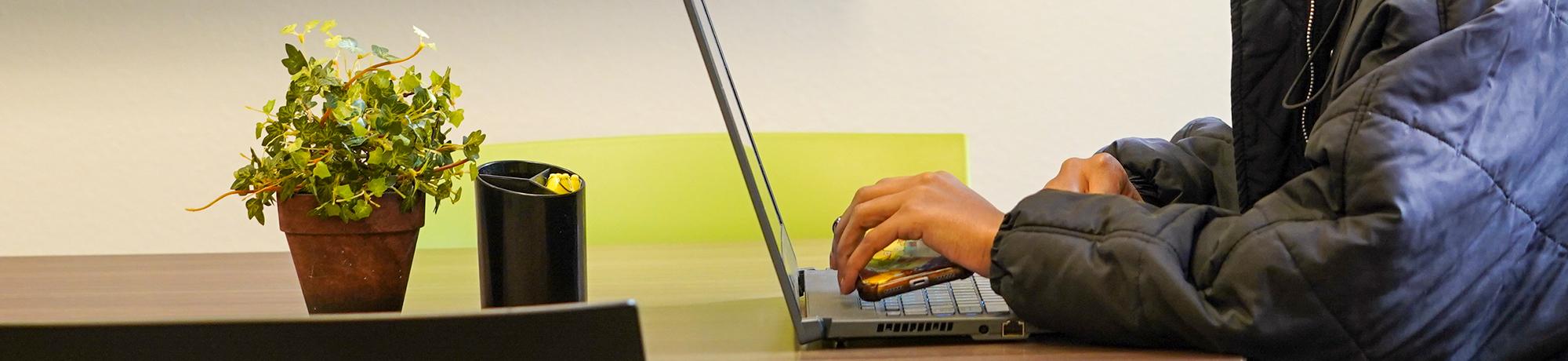 A student's hands type on their laptop, and a fake plant is on the same table as the laptop.
